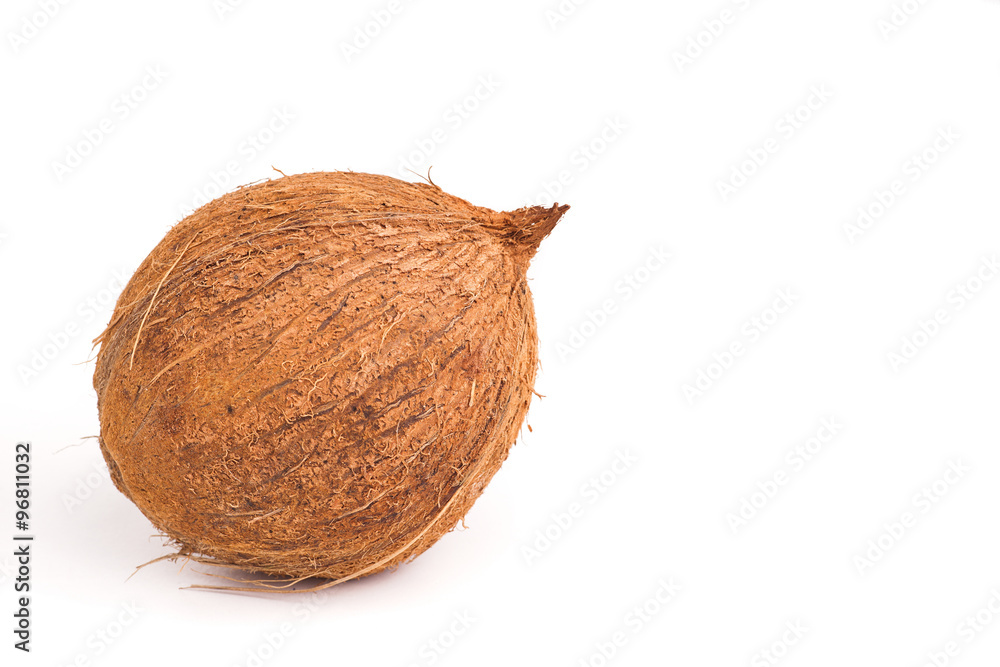 Whole coconut, isolated Whole coconut, isolated