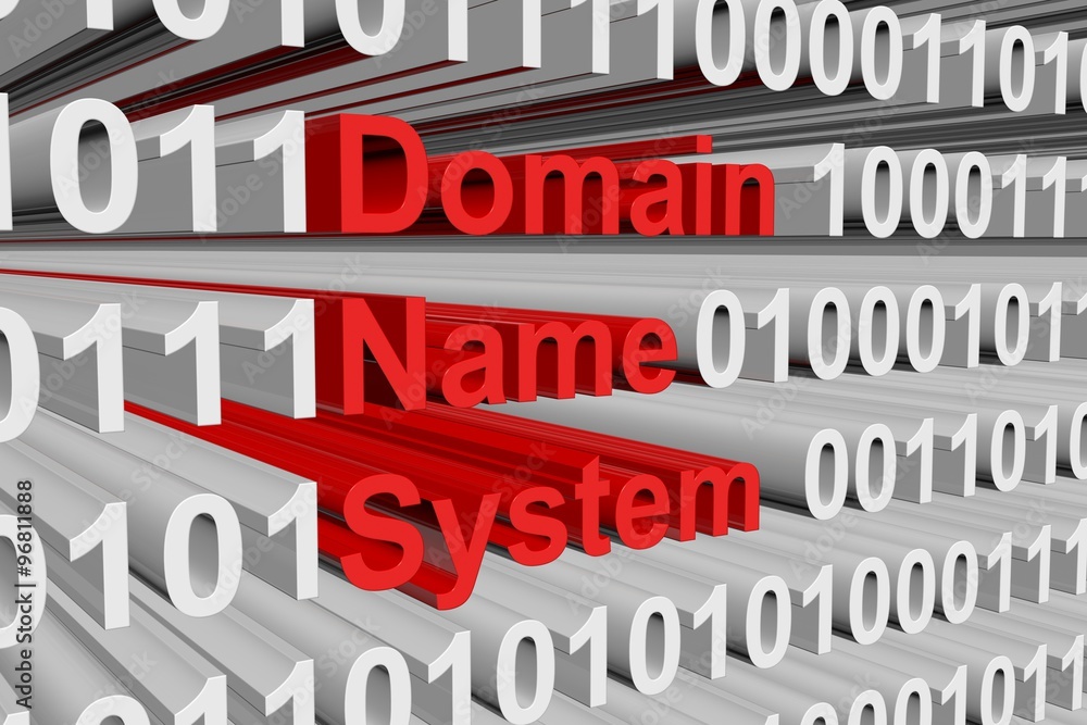 Domain Name System is presented in the form of binary code