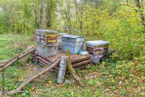 Dump of old wooden hives, abandoned in woods