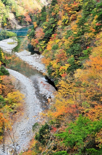 寸又峡の紅葉