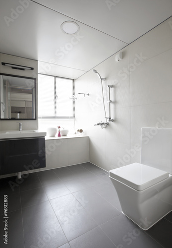 Elegant and comfortable home interior,bathroom 