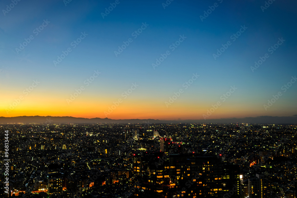 Tokyo City at night