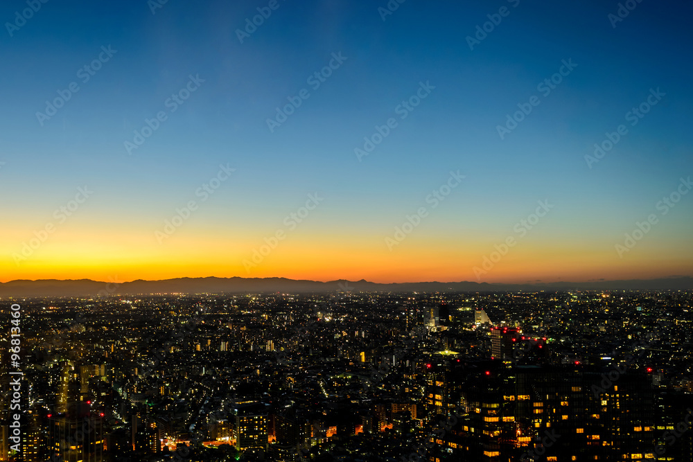 view of Tokyo at night
