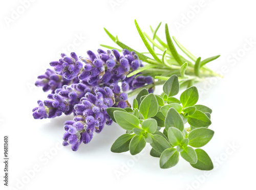 Lavender with thyme