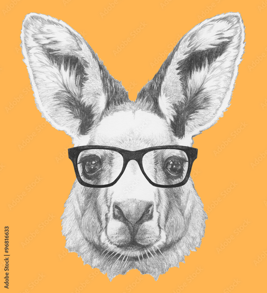 Portrait of Kangaroo with glasses. Hand drawn illustration.
