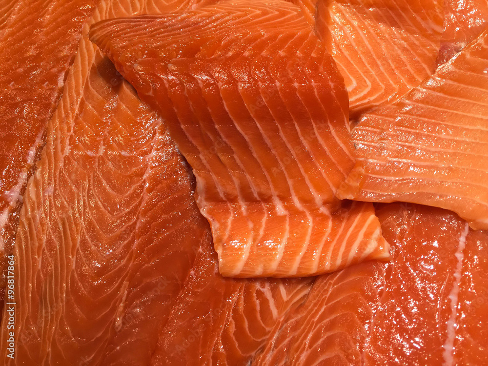 fresh salmon fresh salmon