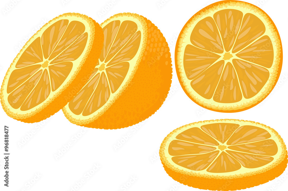 Vector illustration of orange slices at different angles. Vector illustration of orange slices at different angles.