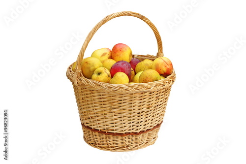 trellis basket full of bio apples