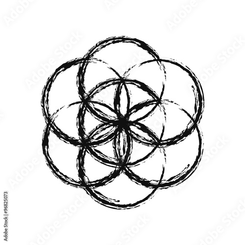 Flower of Life, vector.
