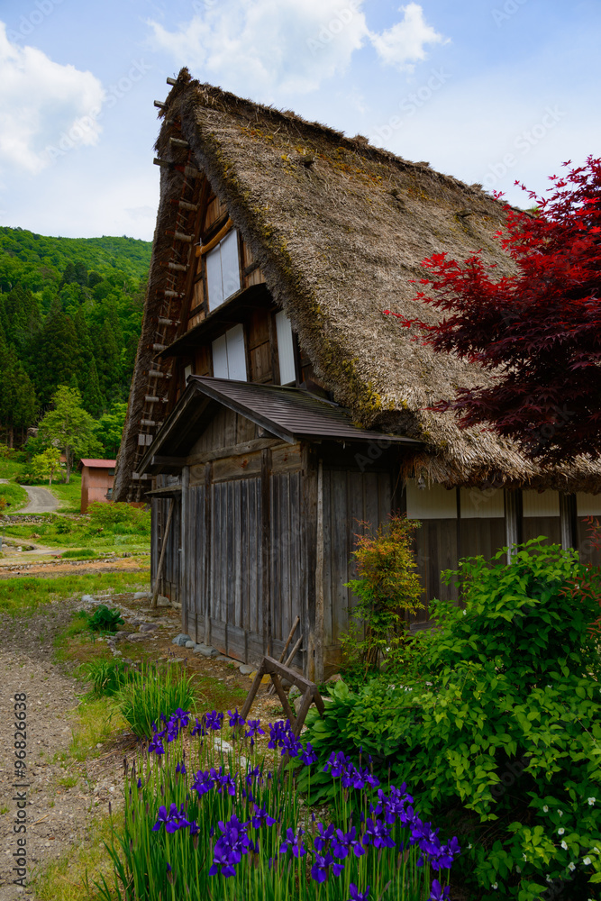 Fototapeta premium Historic Village of Shirakawa-go in spring