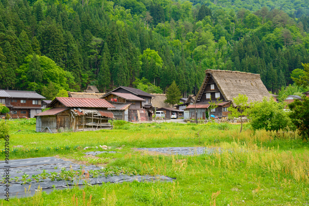 Historic Village of Shirakawa-go in spring Historic Village of Shirakawa-go in spring
