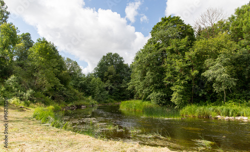 summer forest and river