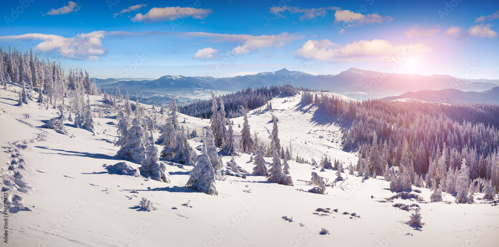 Colorful winter panorama of the snowy mountains.