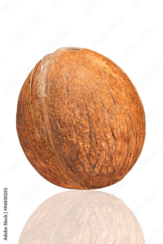 coconut isolated on white coconut isolated on white