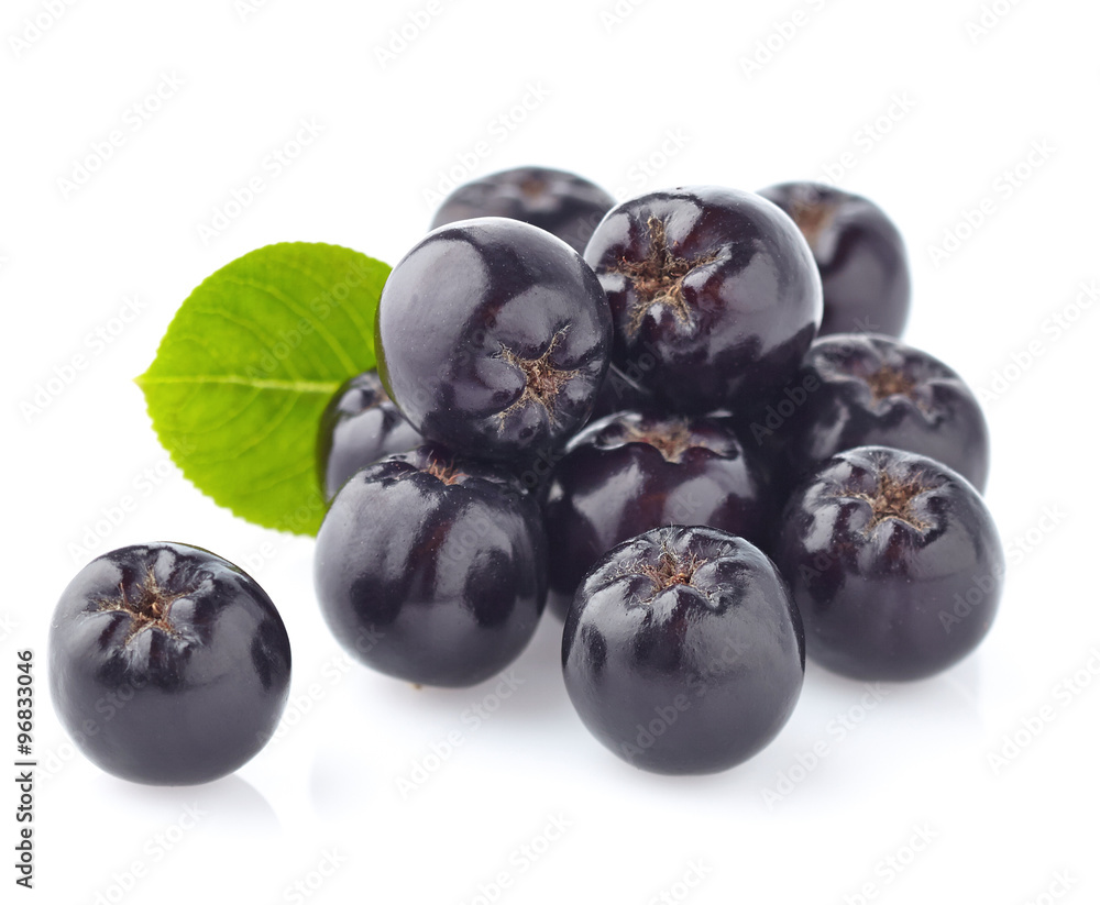 Chokeberry with leaf Chokeberry with leaf
