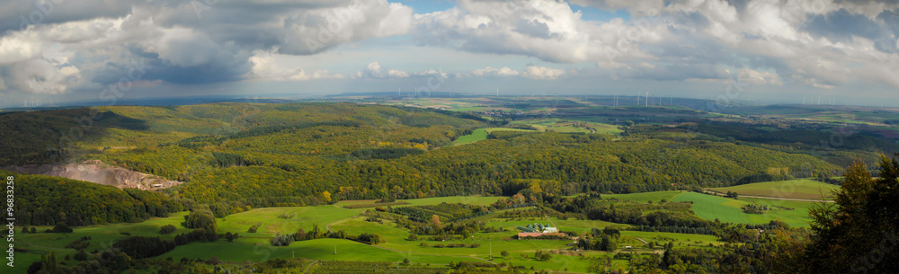 Obraz premium Pfälzer Wald