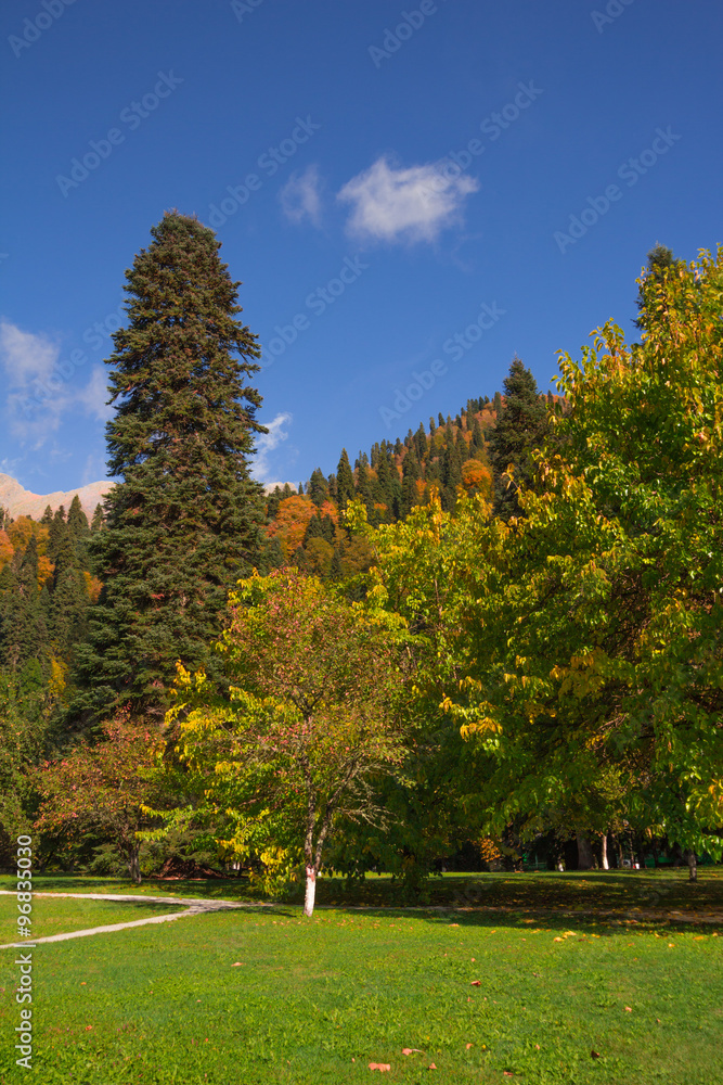 Autumn landscape Caucasus