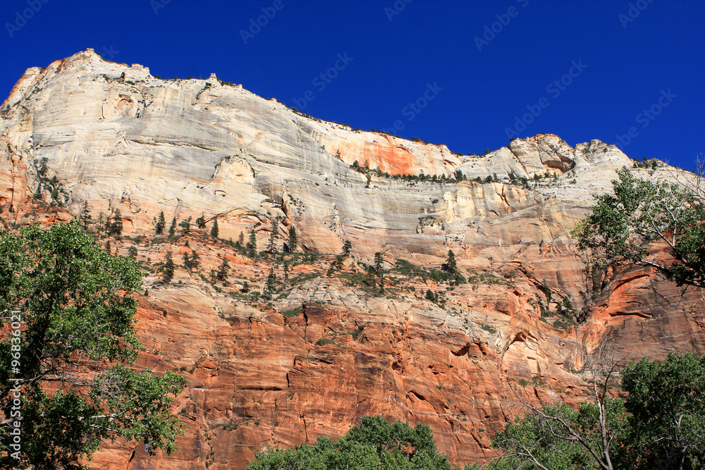Fototapeta premium Red mountains in Zion National Park, Utah, United States
