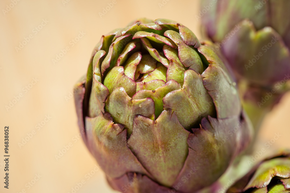 Obraz premium Artichokes closeup