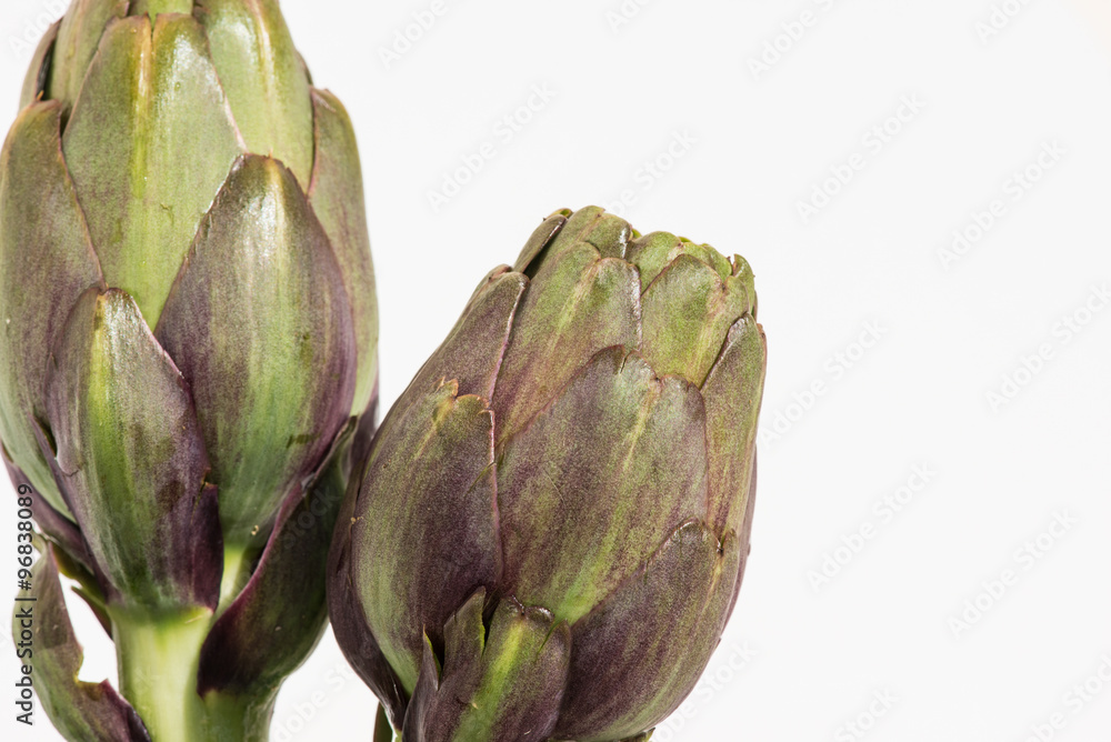 Fototapeta premium Purple artichoke on white background