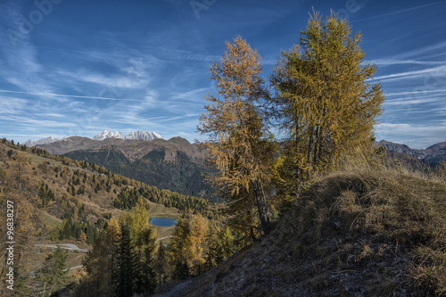 Obraz na płótnie Autunno sulle Alpi Carniche. Monte Zoncolan w salonie