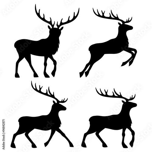 Deer on a white background.