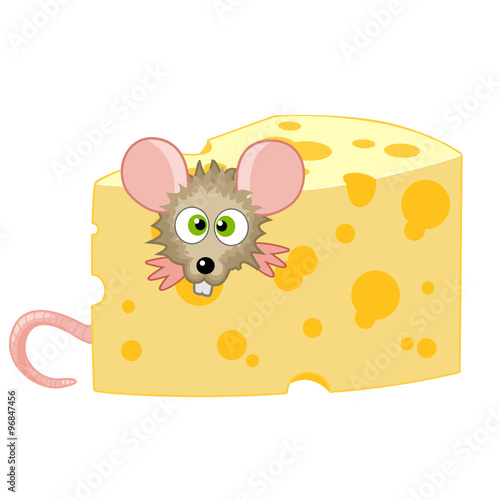 topo nel formaggio