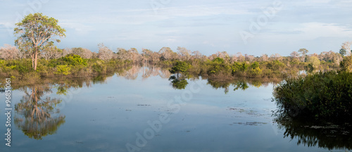 Pond in Cambodia