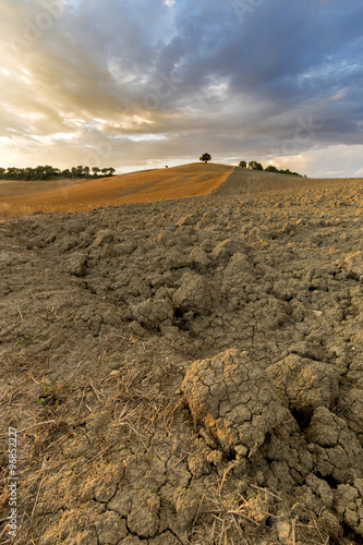 colline toscane photo