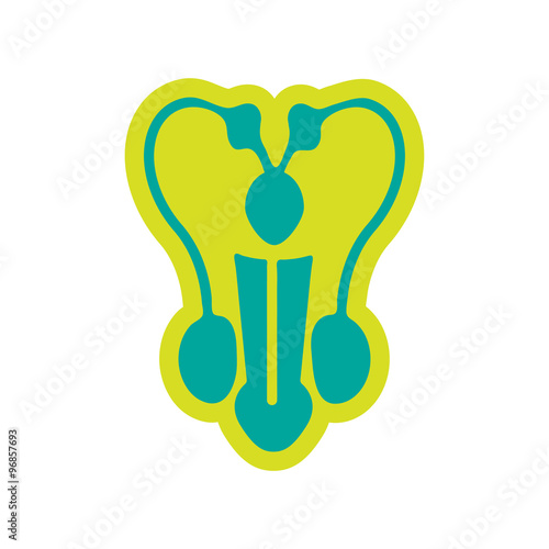 Icon of man's penis in flat style