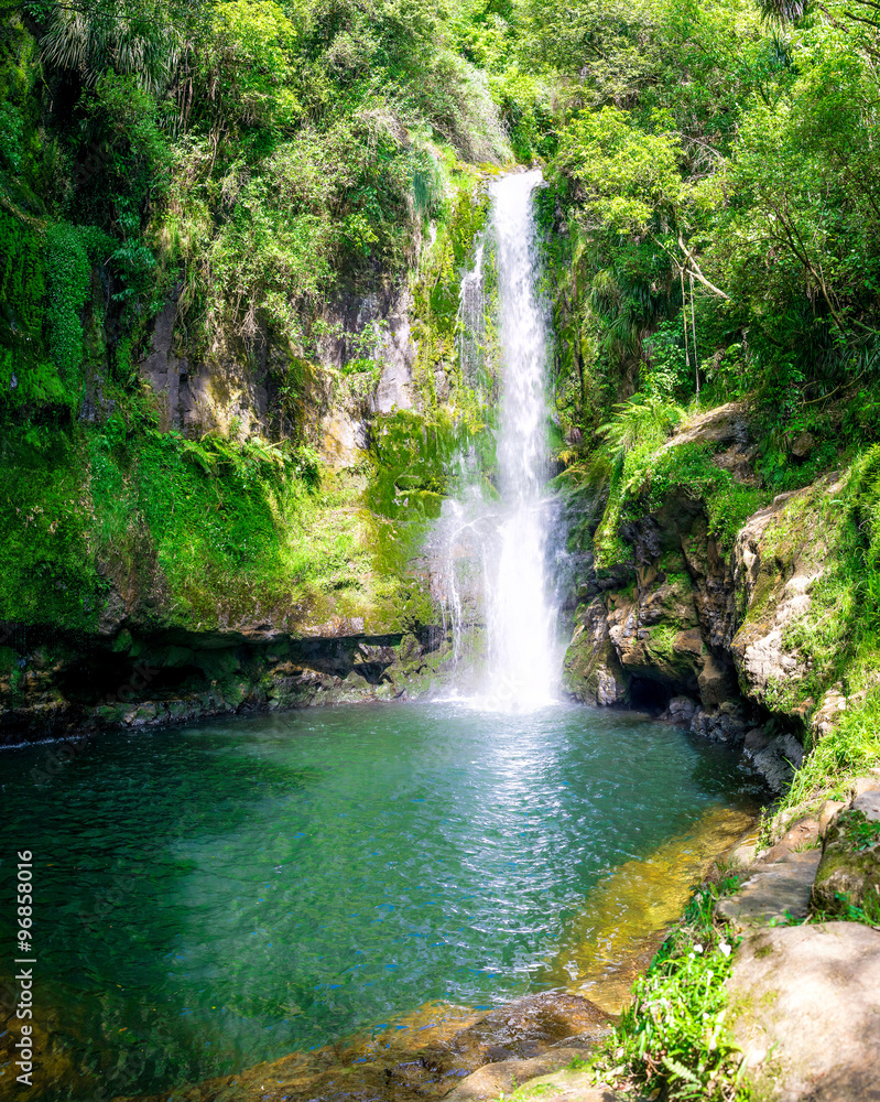 Lower step of the Kaiate Falls and the natural pool. Bay of Plenty, New Zealand