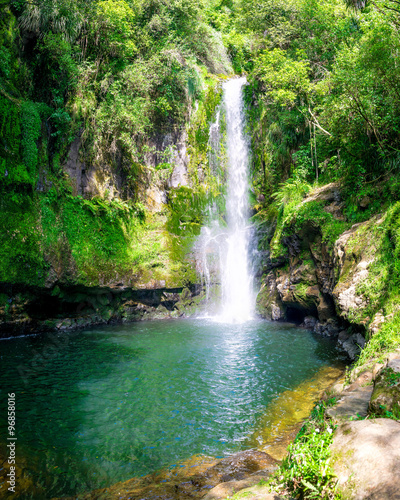 Lower step of the Kaiate Falls and the natural pool. Bay of Plenty  New Zealand