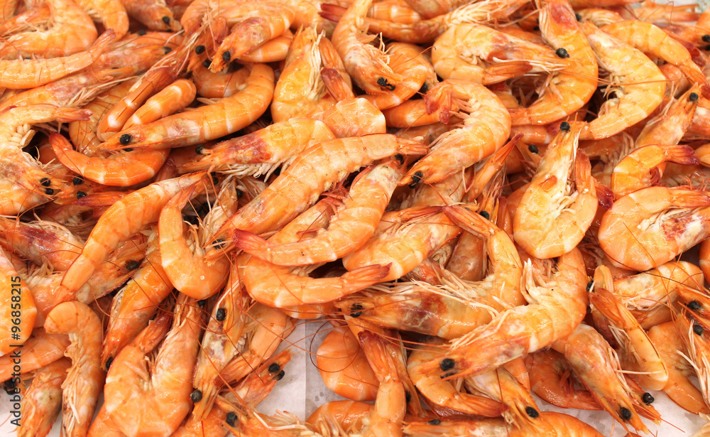 crevettes