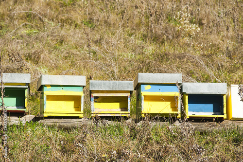 Beehives