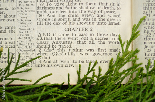 Christmas story, with greenery