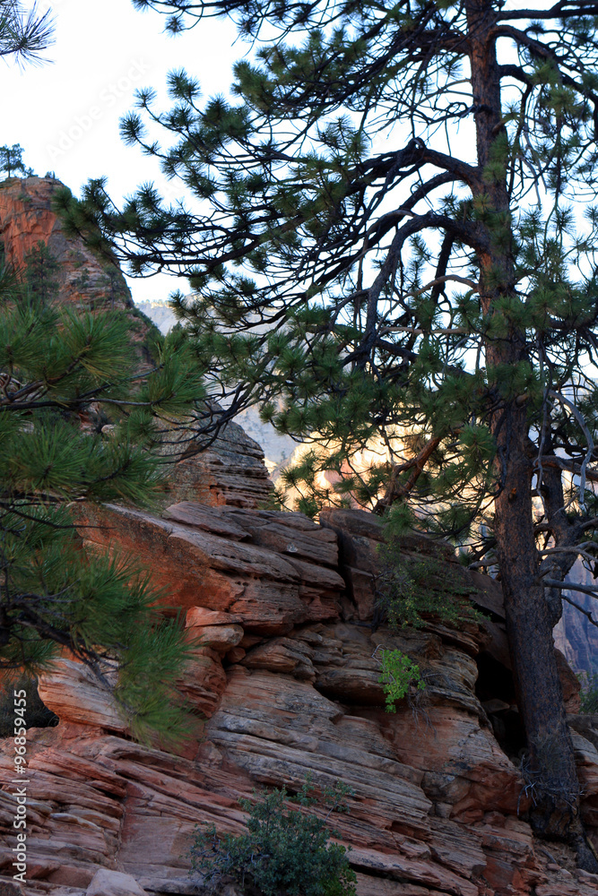 Angels Landing trail in Zion National Park, Utah, United States