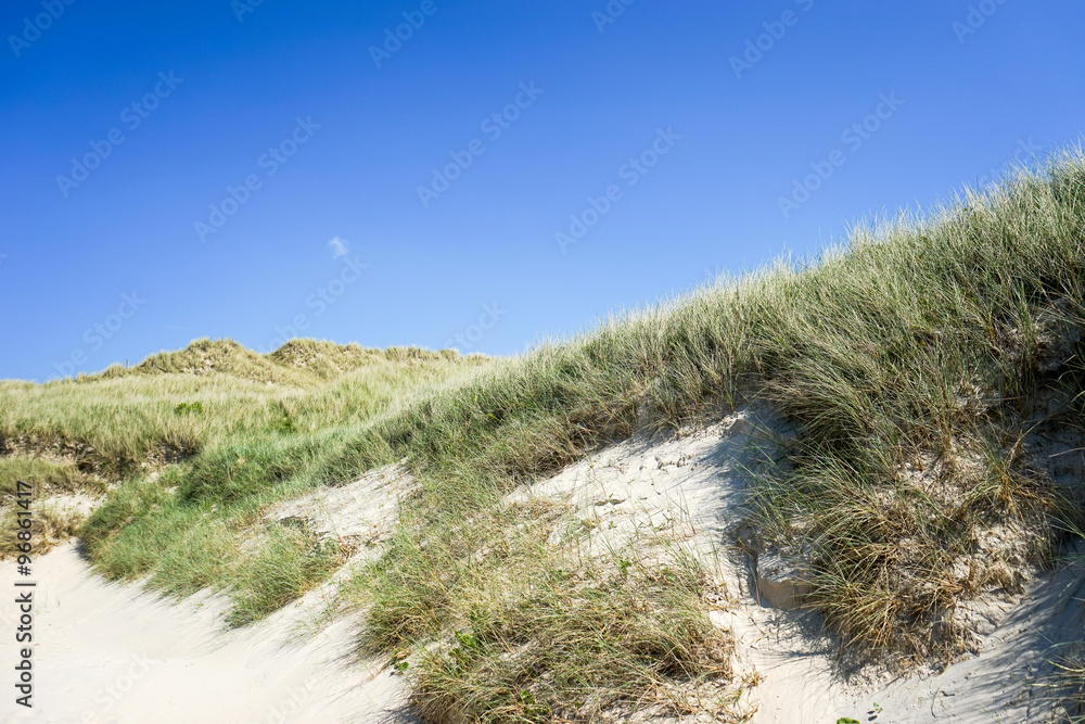 Insel Sylt Dünen Insel Sylt Dünen
