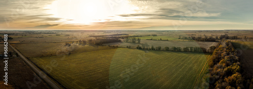 Autumn Tree Line photo