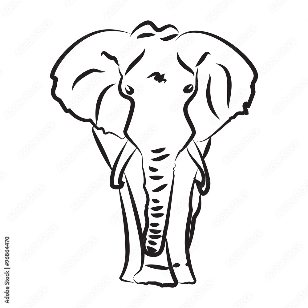 Fototapeta premium Vector elephant on a white background. The contours of the elephant.