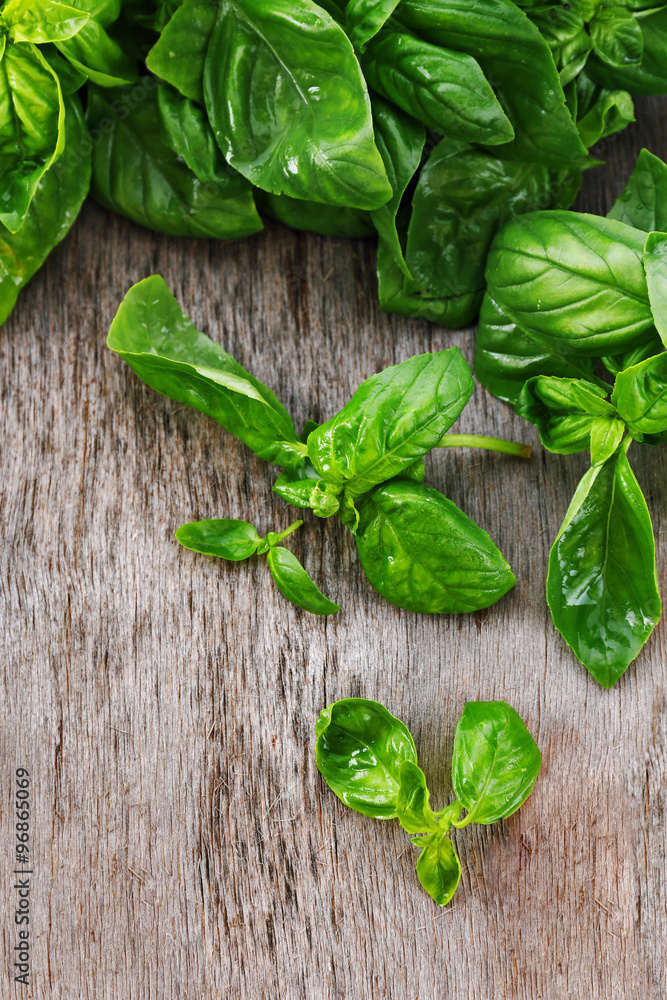 Green fresh basil on wooden background Green fresh basil on wooden background