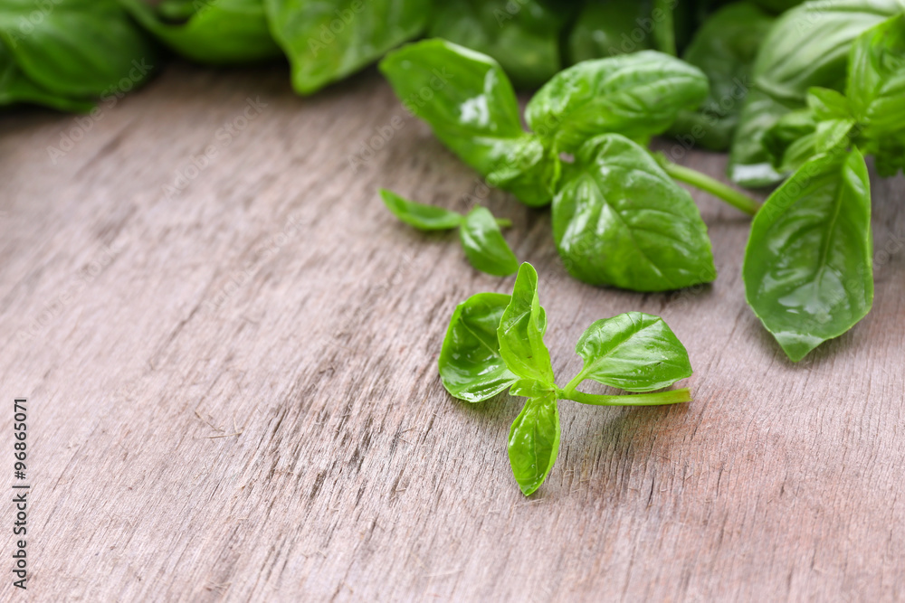Green fresh basil on wooden background Green fresh basil on wooden background
