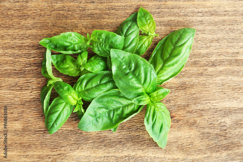 Green fresh basil on wooden background Green fresh basil on wooden background