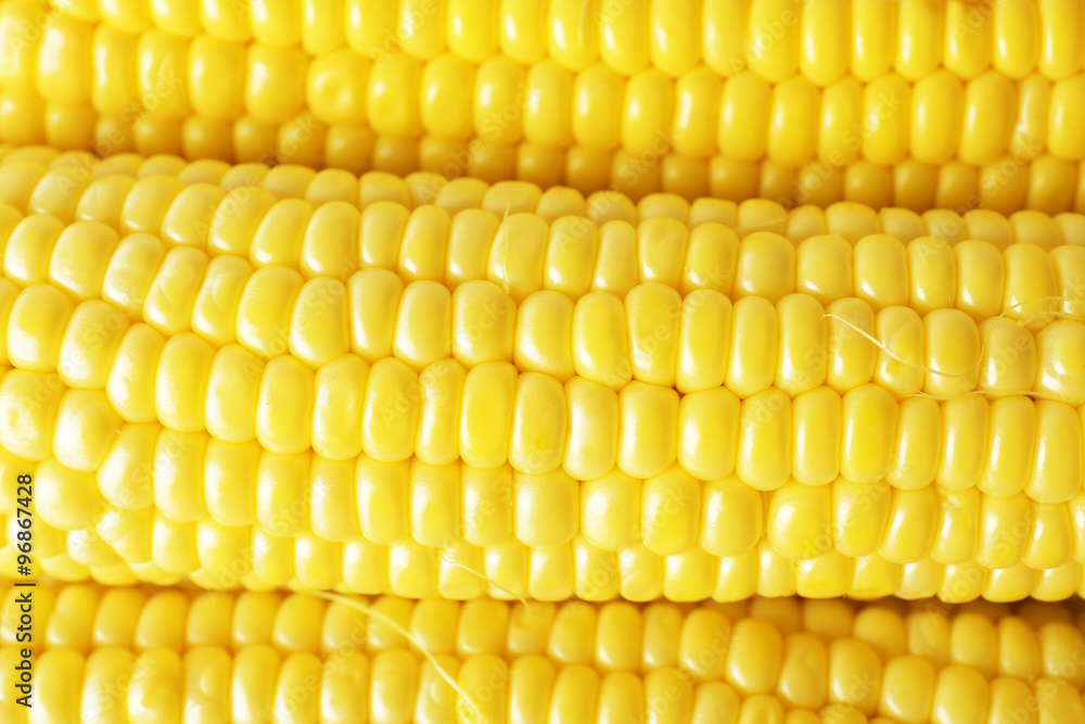 Fresh corn, closeup Fresh corn, closeup