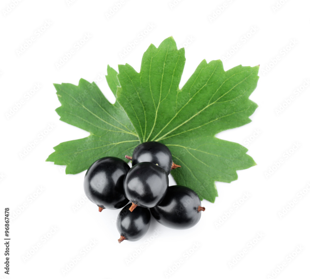 Heap of wild black currant with green leaves isolated on white Heap of wild black currant with green leaves isolated on white