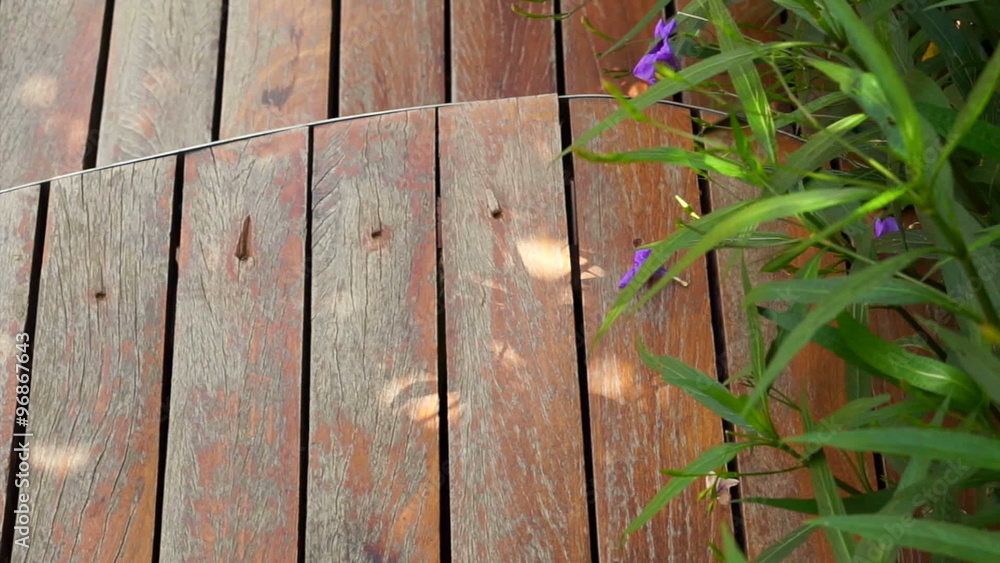 Video of Curved cut wooden deck in the garden Video of Curved cut wooden deck in the garden