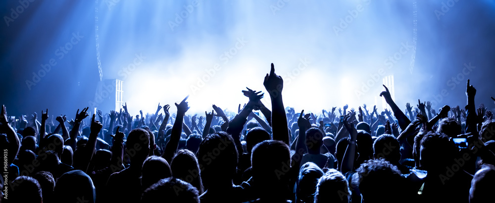 cheering crowd at a rock concert