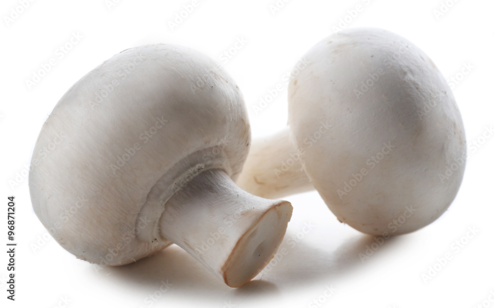 A pair of champignon mushrooms isolated on white background A pair of champignon mushrooms isolated on white background
