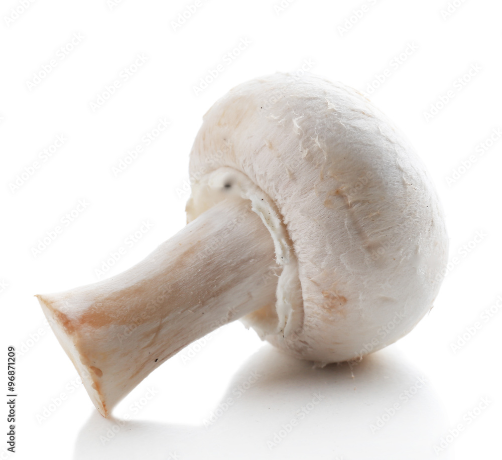 Champignon mushroom isolated on white background Champignon mushroom isolated on white background