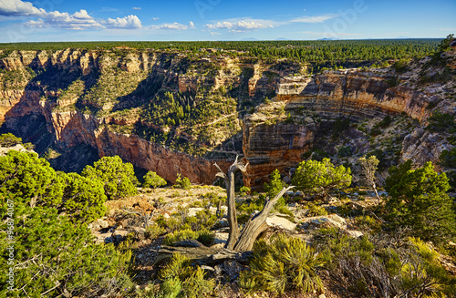 Grand Canyon bei Trailview Overlook 01 photo