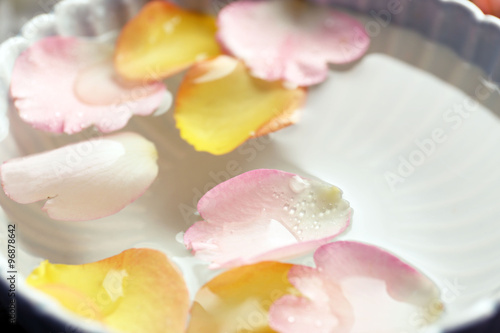 Pink and orange rose petals in a bowl of water, close-up